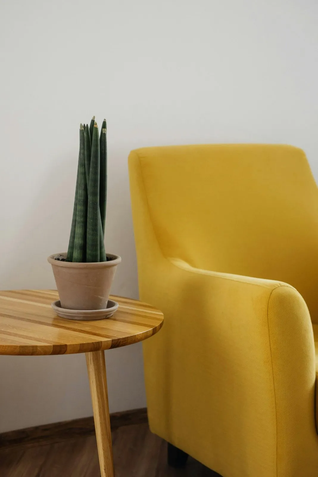 Fauteuil jaune et plante dans un intérieur lumineux
